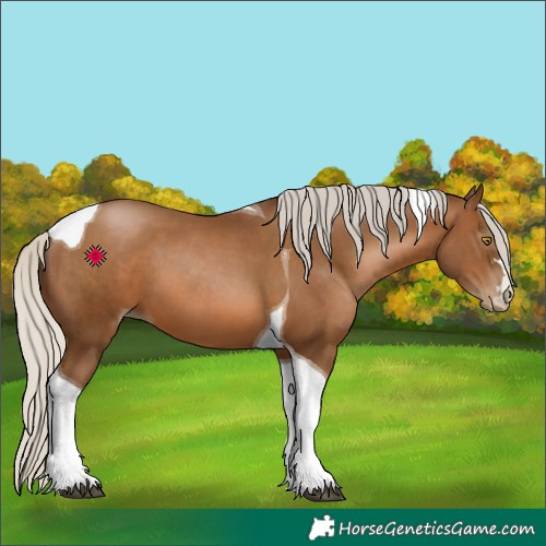 Horse Color:Gray Silver Bay Pearl Tobiano