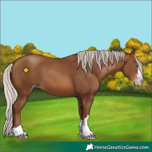 Horse Color:Gray Silver Sable Champagne