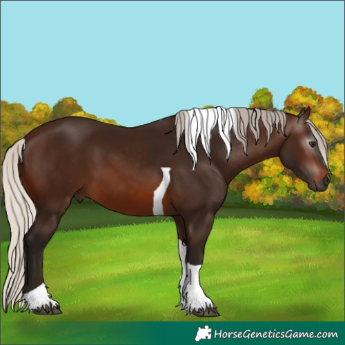 Horse Color:Gray Silver Brown Tobiano