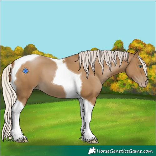 Horse Color:Gray Silver Smoky Black Pearl Tobiano