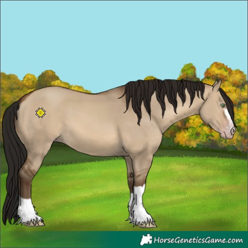 Horse Color:Gray Amber Champagne Dun