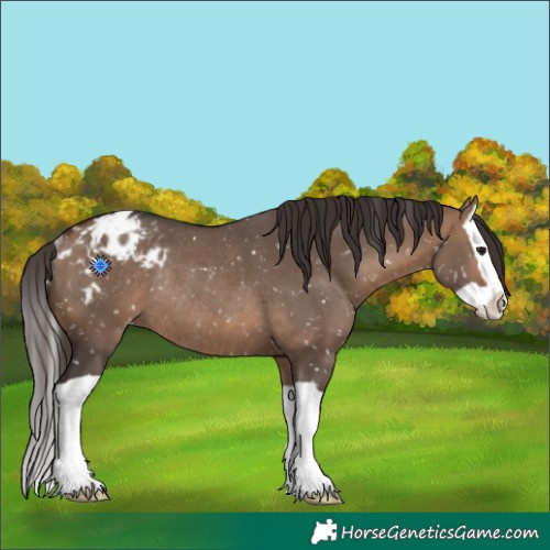 Horse Color:Bay Dun Splash Snowflake Varnish Rabicano 