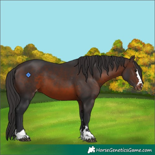 Horse Color:Brown Varnish