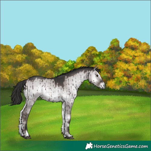 Horse Color:Platinum Liver Red Dun Onyx Brindle 
