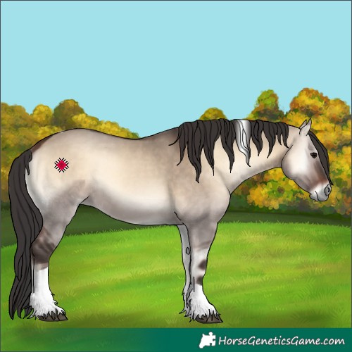 Horse Color:Bay Onyx Tobiano