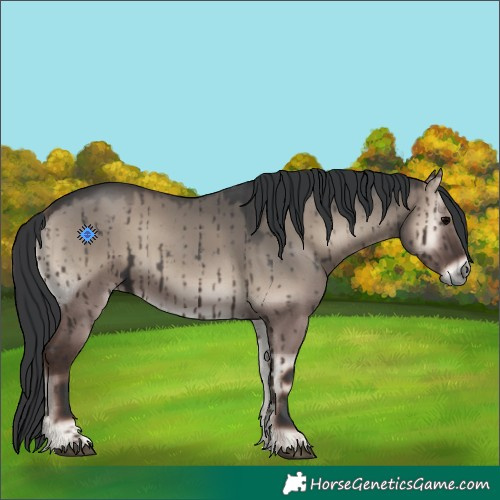 Horse Color:Grullo Onyx Brindle 