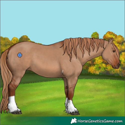 Horse Color:Red Dun Tobiano 