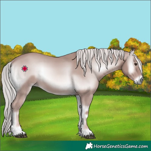 Horse Color:Platinum Red Onyx 