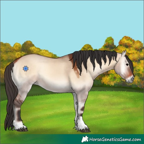 Horse Color:Bay Onyx Tobiano