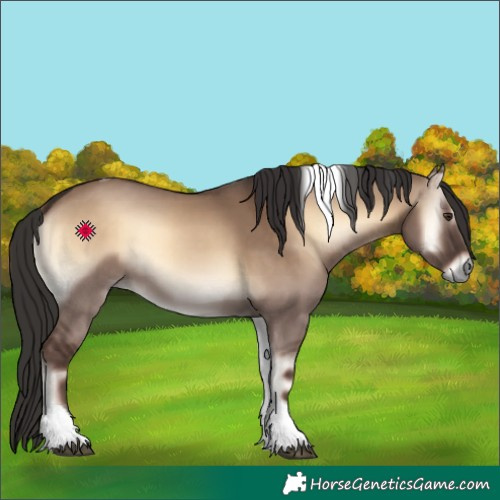 Horse Color:Liver Red Dun Onyx Tobiano