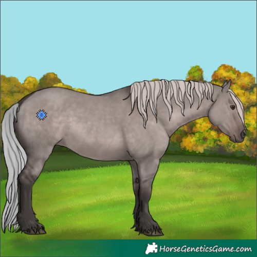 Horse Color:Platinum Liver Red Dun