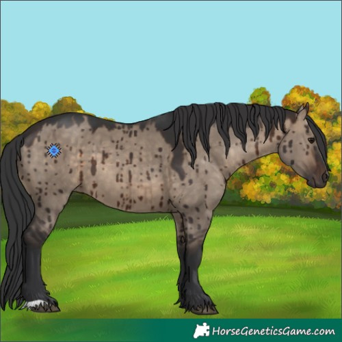 Horse Color:Brown Dun Brindle