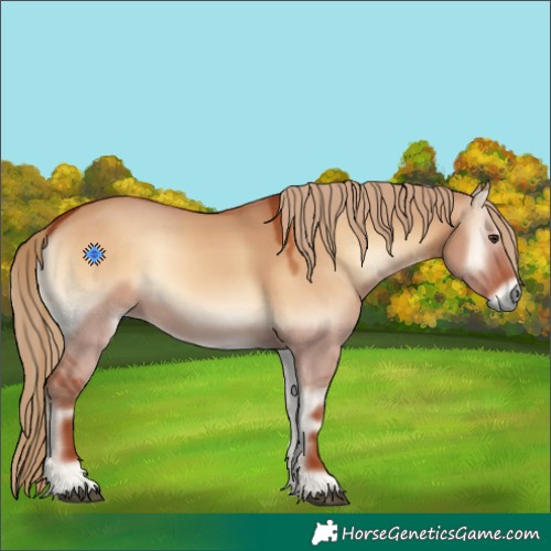 Horse Color:Red Dun Onyx