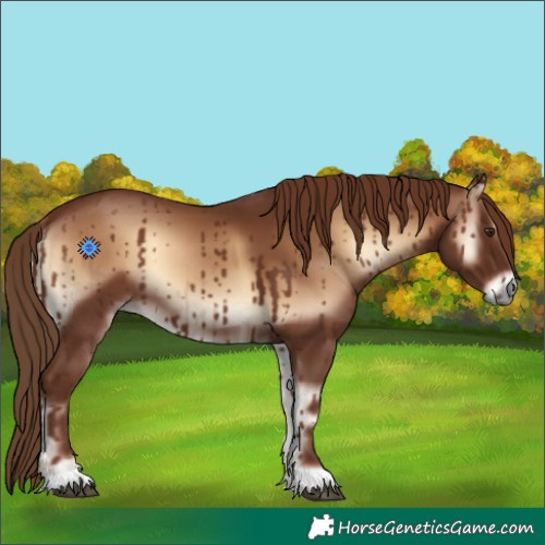 Horse Color:Red Onyx