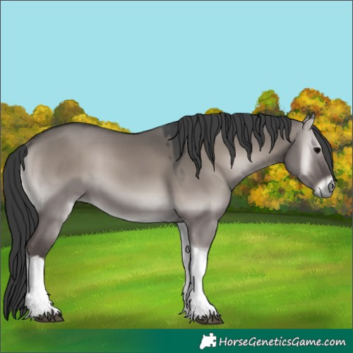 Horse Color:Platinum Grullo Onyx Tobiano