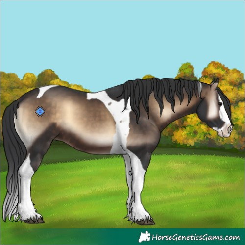 Horse Color:Brown Onyx Splash Tobiano