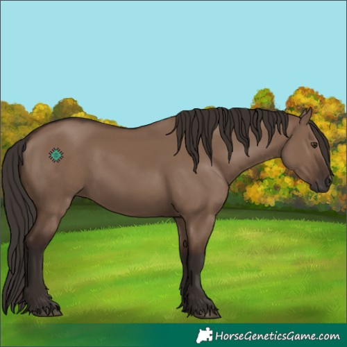 Horse Color:Liver Red Dun 