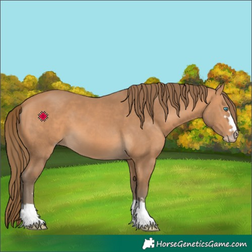 Horse Color:Gray Perlino
