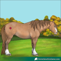 Horse Color:Gray Perlino