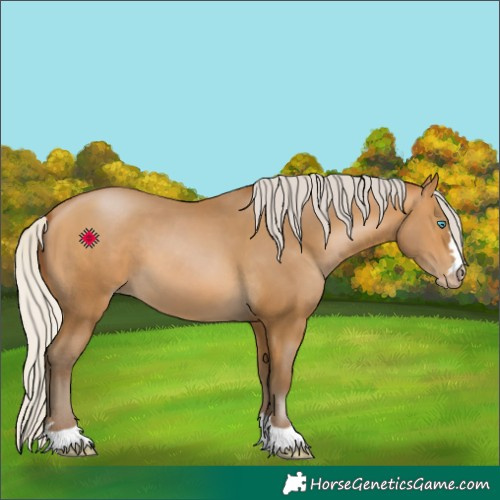 Horse Color:Gray Silver Buckskin Pearl 