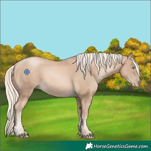 Horse Color:Chocolate Palomino Pearl