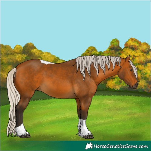 Horse Color:Gray Silver Buckskin Tobiano 