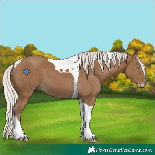 Horse Color:Gray Silver Smoky Creme Tobiano