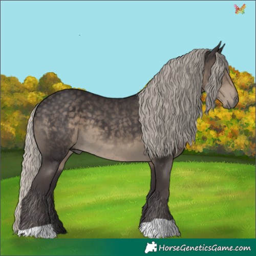 Horse Color:Silver Smoky Black 