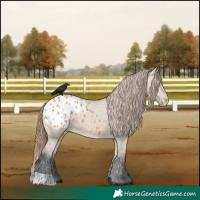Horse Color:Bay Dun Varnish 
