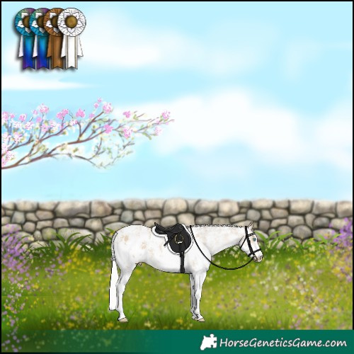 Horse Color:Silver Smoky Black Pearl Sabino Appaloosa