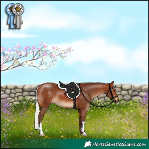 Horse Color:Silver Brown