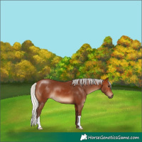 Horse Color:Silver Brown 