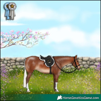 Horse Color:Silver Brown