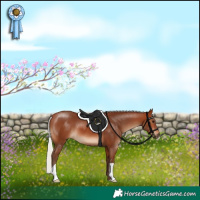 Horse Color:Silver Brown 