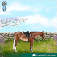 Horse Color:Silver Brown 