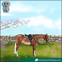 Horse Color:Silver Brown