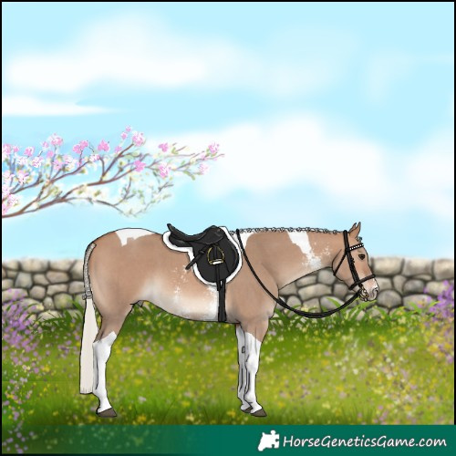 Horse Color:Silver Brown Dun Sabino Tobiano 