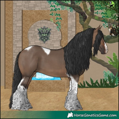 Horse Color:White Spotted Brown Dun Tobiano 