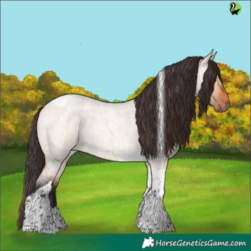 Horse Color:Bay Roan Dun Tobiano Rabicano 