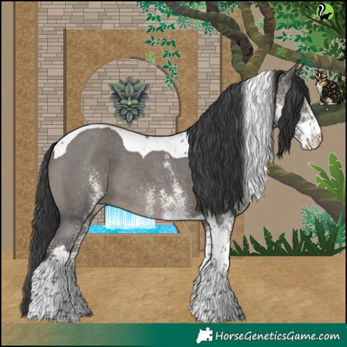Horse Color:White Spotted Grullo Tobiano Rabicano 