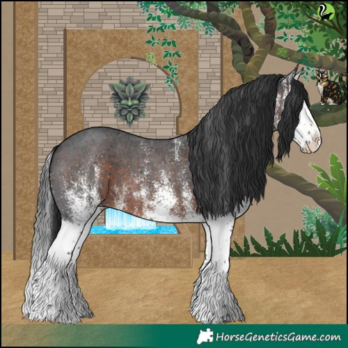 Horse Color:White Spotted Brown Splash 