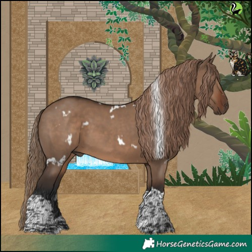 Horse Color:White Spotted Liver Red Dun Tobiano 