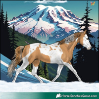 Horse Color:Chestnut Splash Tobiano