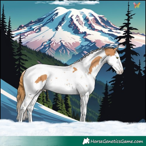 Horse Color:Chestnut Splash Tobiano 