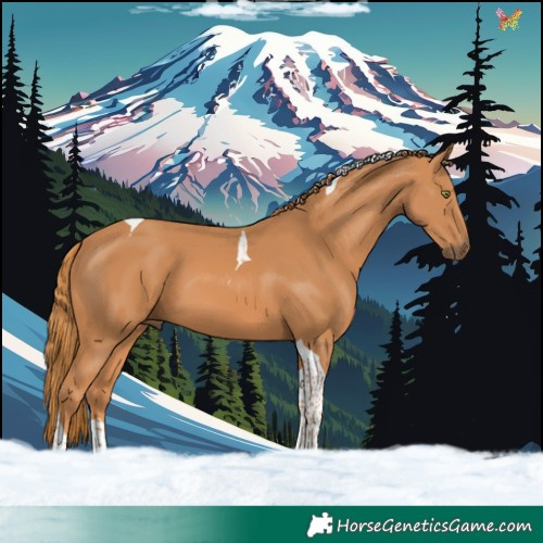 Horse Color:Chestnut Tobiano 