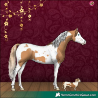 Horse Color:Chestnut Splash Tobiano