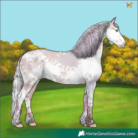Horse Color:Watercolor Silver Sable Champagne Dun Splash Tobiano