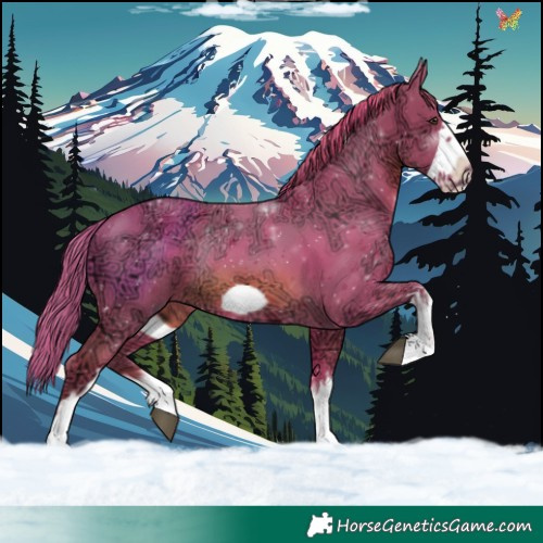 Horse Color:Watercolor White Spotted Chestnut Ice Frame