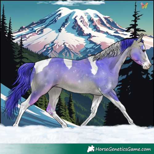 Horse Color:Watercolor White Spotted Buckskin Splash Tobiano 
