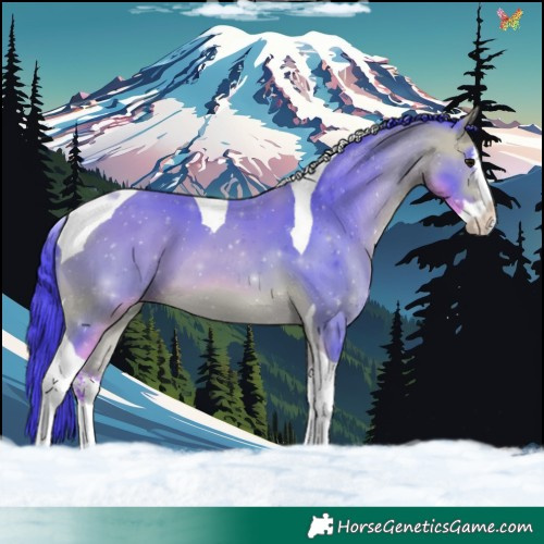 Horse Color:Watercolor White Spotted Buckskin Splash Tobiano 